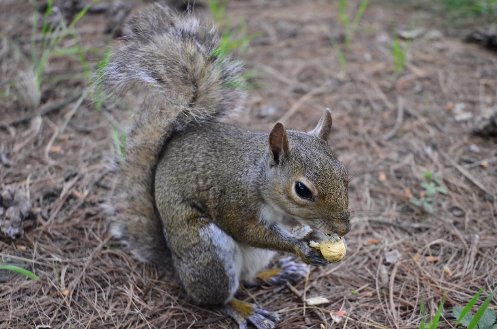 Galleria del corso di Fotografia base