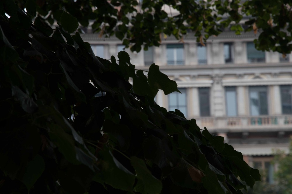 Galleria del corso di Esercizi di Fotografia