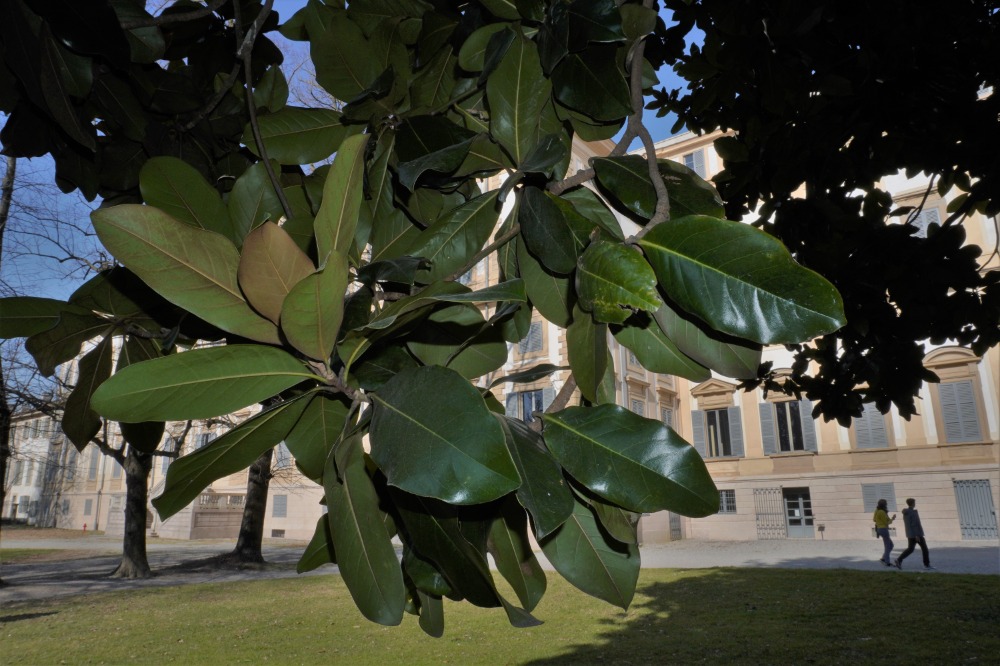 Galleria del corso di Esercizi di Fotografia