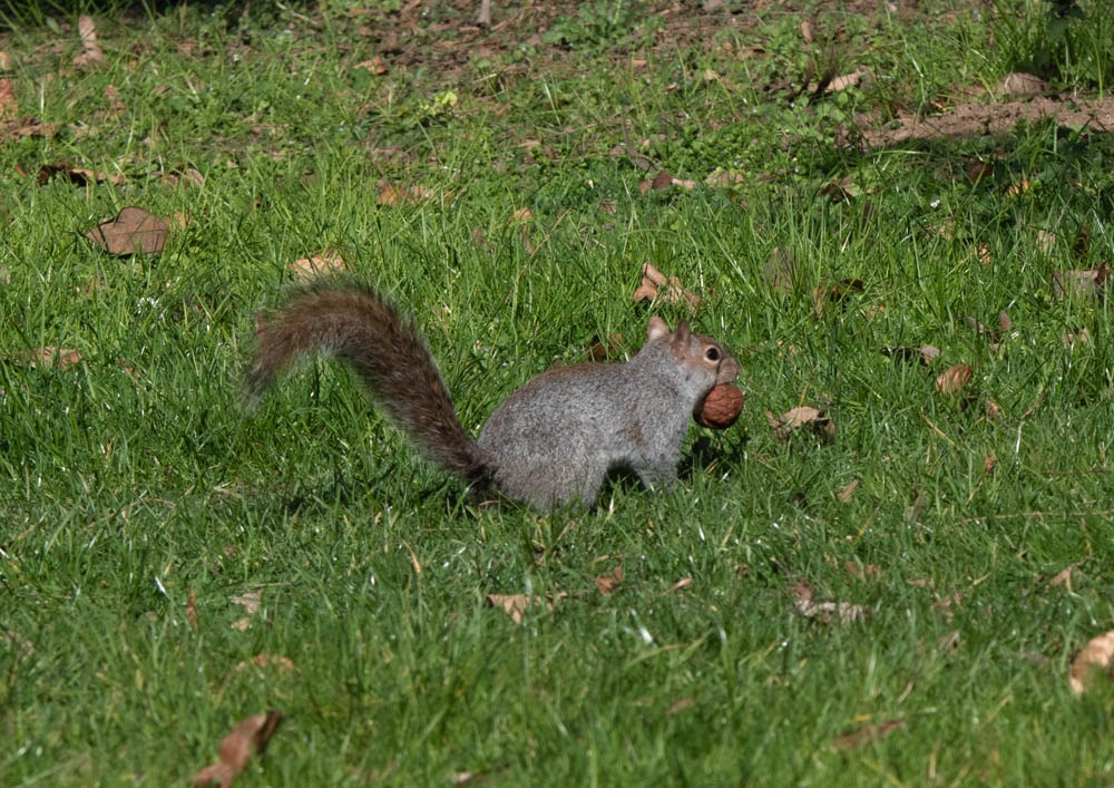 Galleria del corso di Esercizi di Fotografia