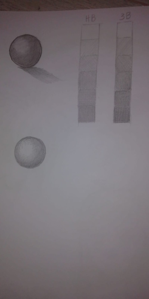 Galleria del corso di Disegno a mano libera