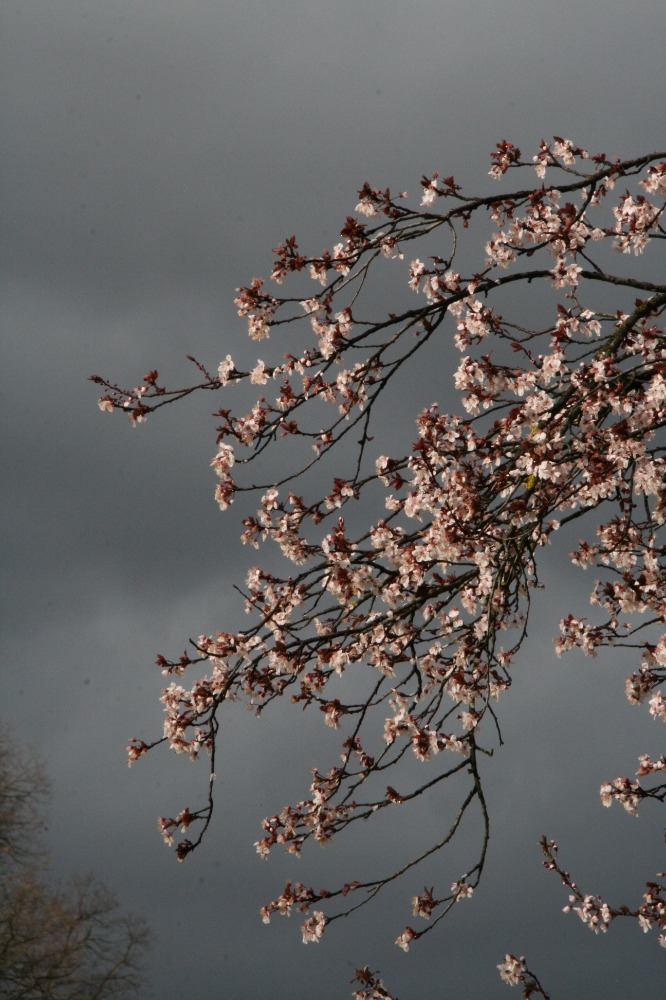 Galleria del corso di Fotografia base