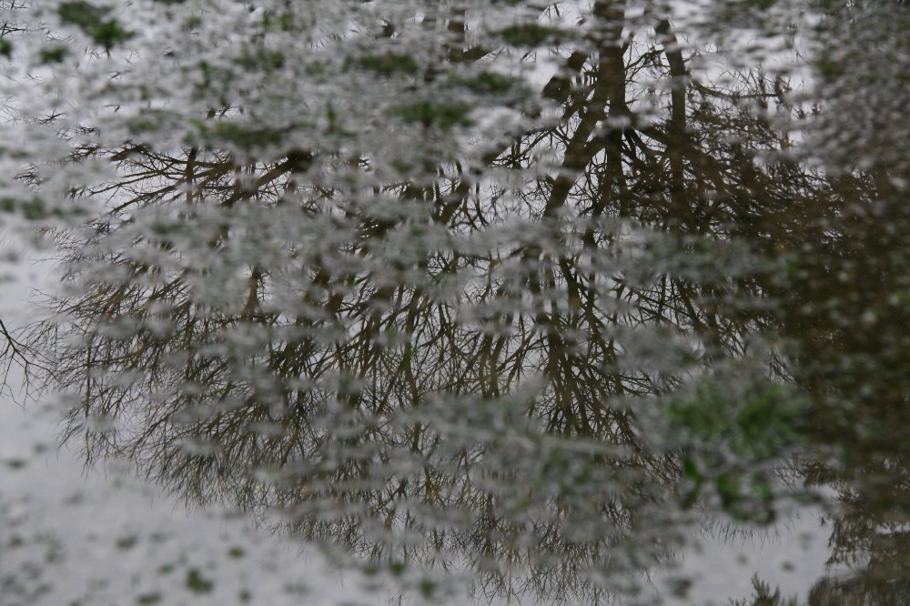 Galleria del corso di Fotografia base