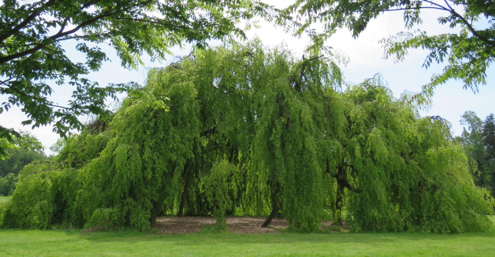 Galleria del corso di Fotografia in esterno