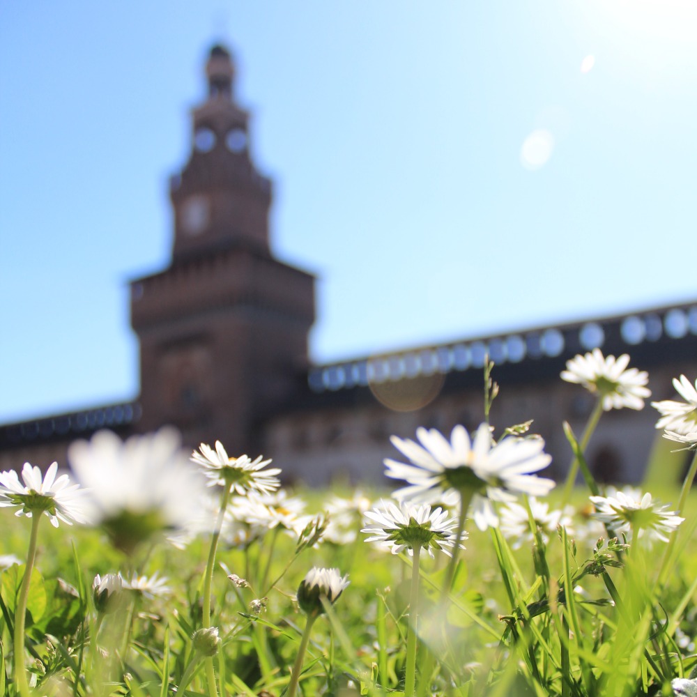 Galleria del corso di Fotografia base