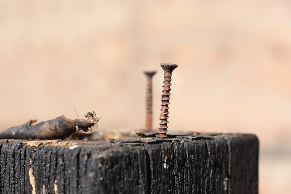 Galleria del corso di Fotografia base
