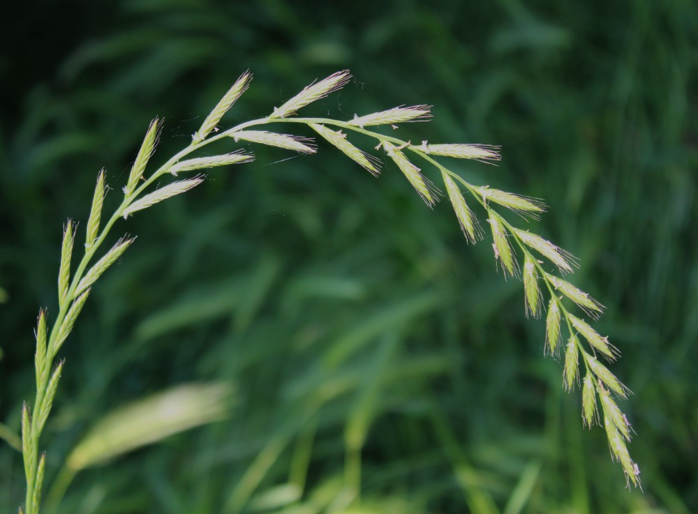 Galleria del corso di Fotografia in esterno