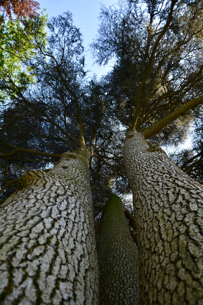 Galleria del corso di Fotografia in esterno