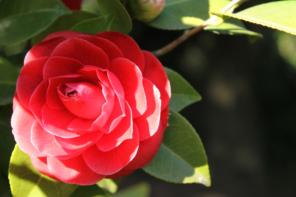 Galleria del corso di Fotografia base