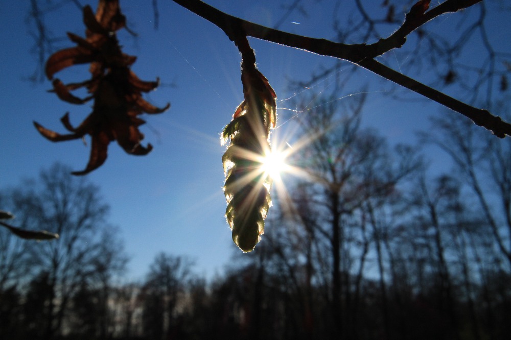 Galleria del corso di Fotografia base