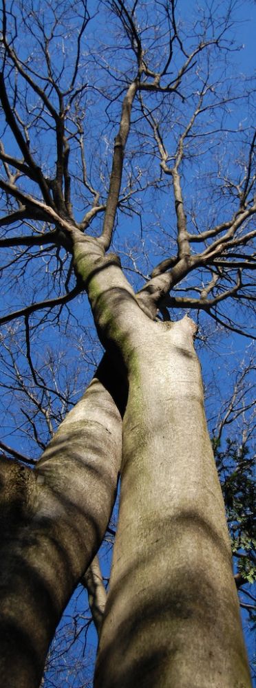 Galleria del corso di Fotografia base