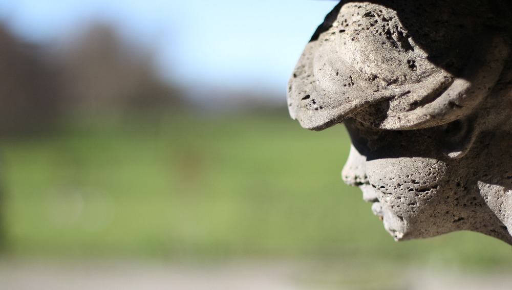 Galleria del corso di Fotografia base