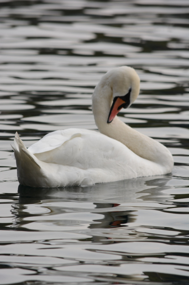Galleria del corso di Composizione fotografica