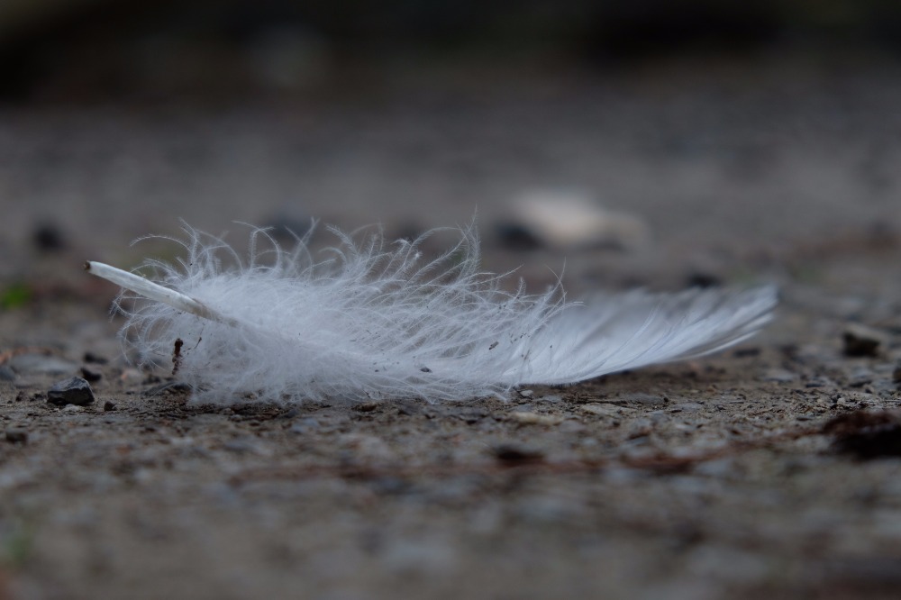 Galleria del corso di Fotografia base