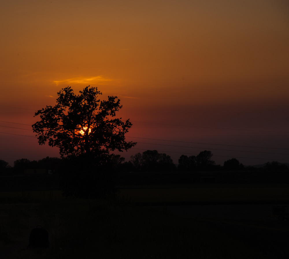 Galleria del corso di Fotografia avanzato