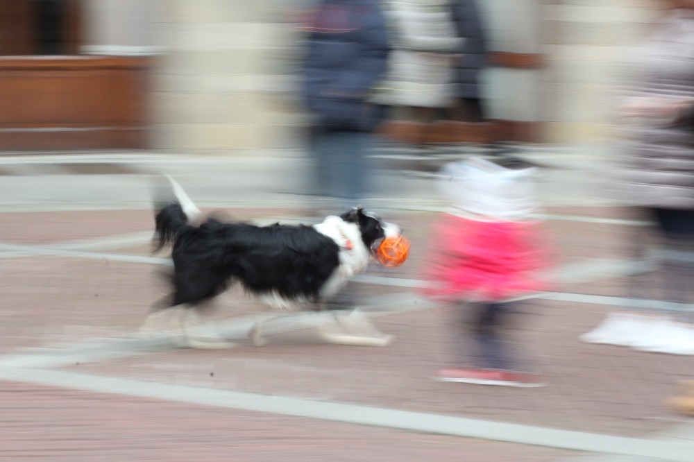 Galleria del corso di Esercizi di Fotografia