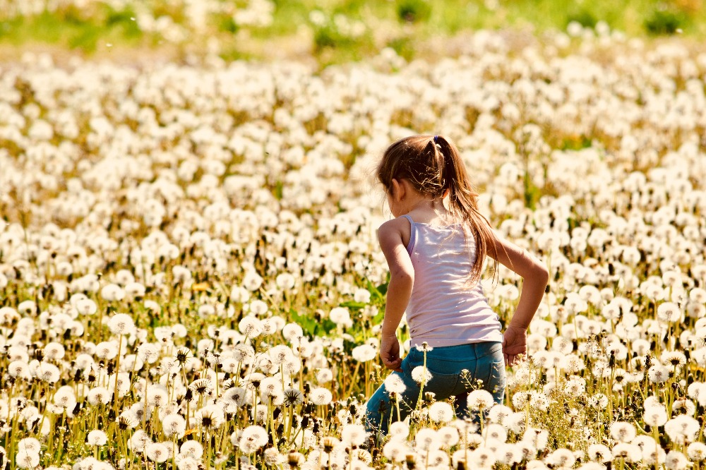 Galleria del corso di Fotografia base