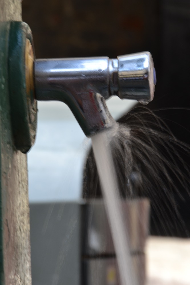 Galleria del corso di Esercizi di Fotografia