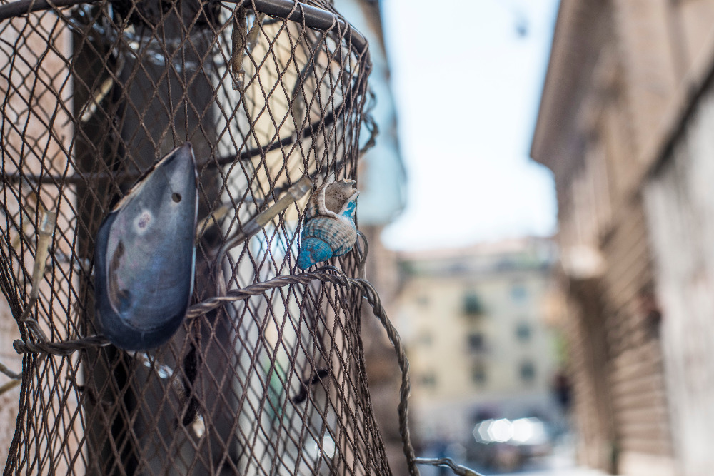Galleria del corso di Fotografia avanzato
