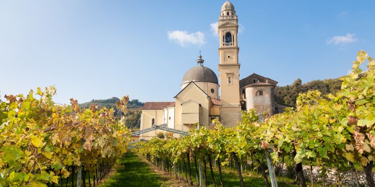 Fra vigneti e cantine a Marano di Valpolicella