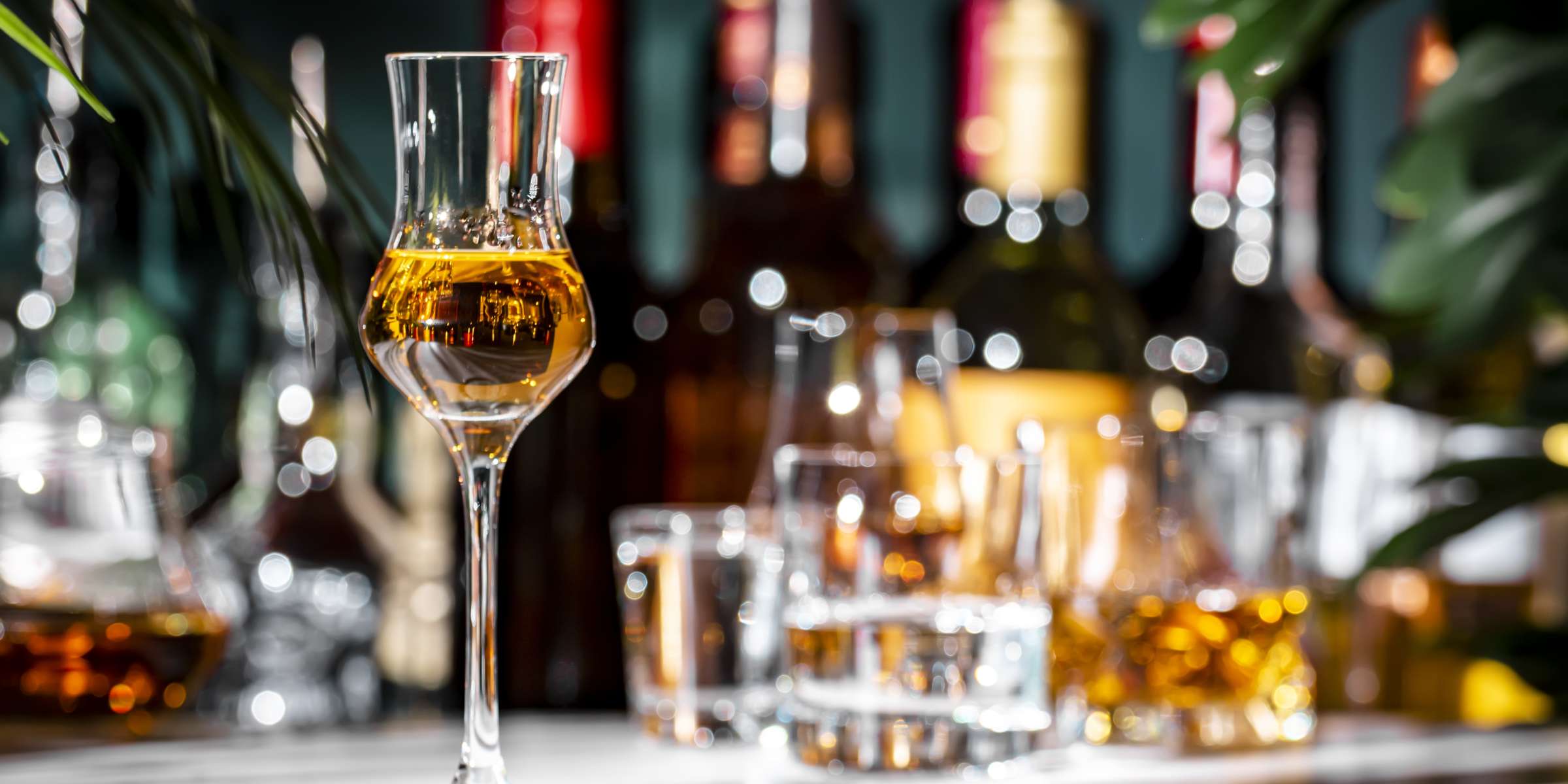 Corso di Degustazione distillati a Alessandria – Il Tempo Ritrovato