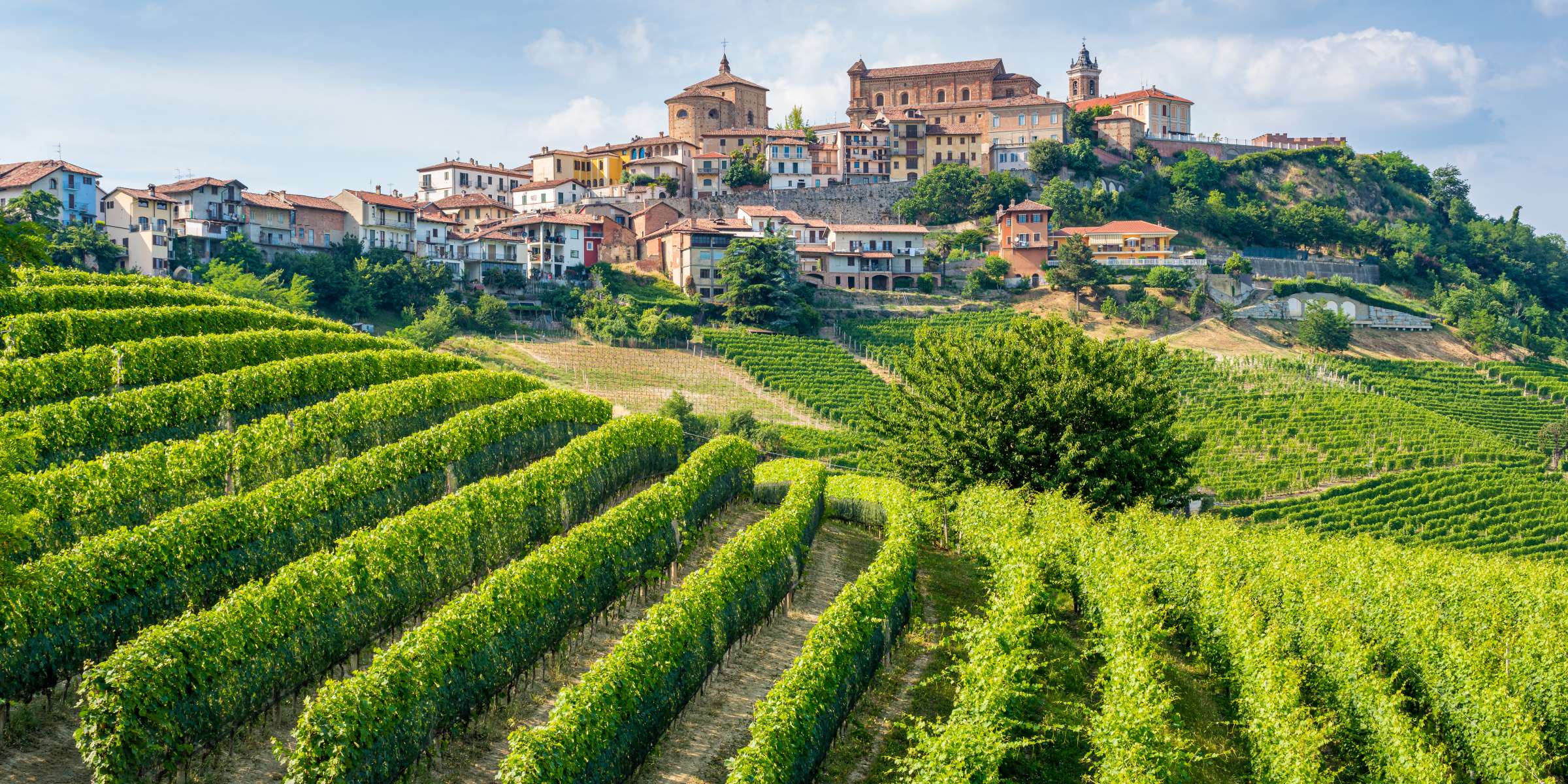 Corso di I vini del Nord Italia online – Il Tempo Ritrovato