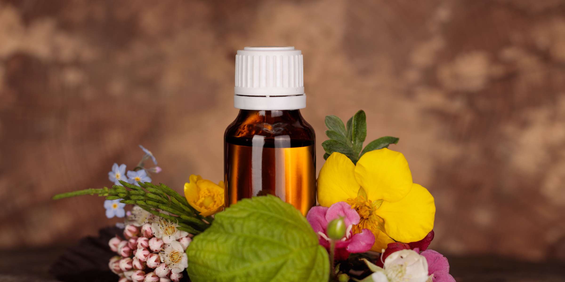 Corso di Fiori di Bach online – Il Tempo Ritrovato