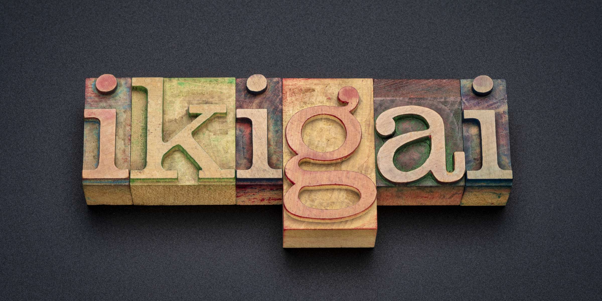 Corso di Ikigai a Zola Predosa – Il Tempo Ritrovato