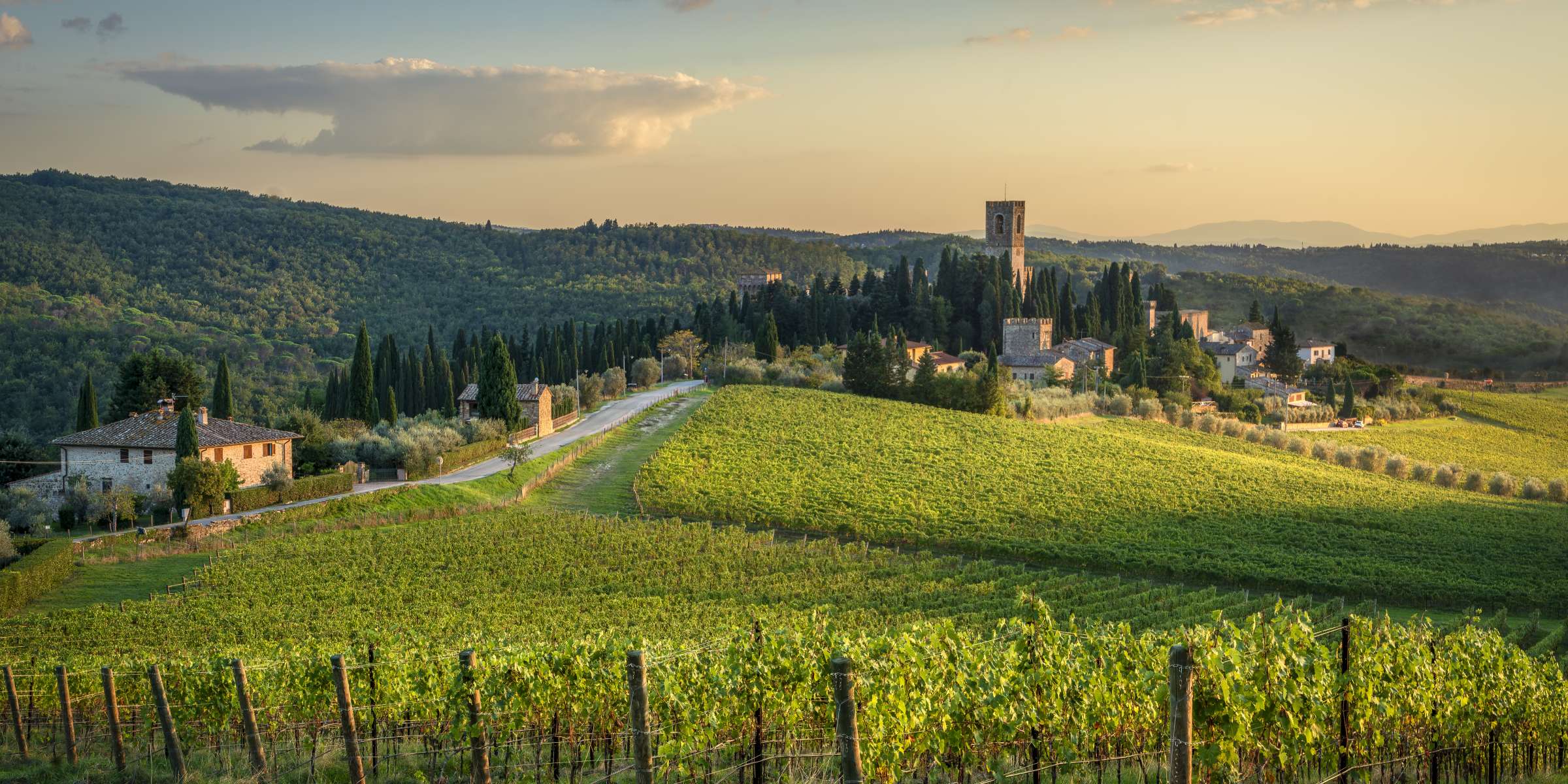 Corso di Viaggio tra i vini di Toscana a La Spezia – Il Tempo Ritrovato
