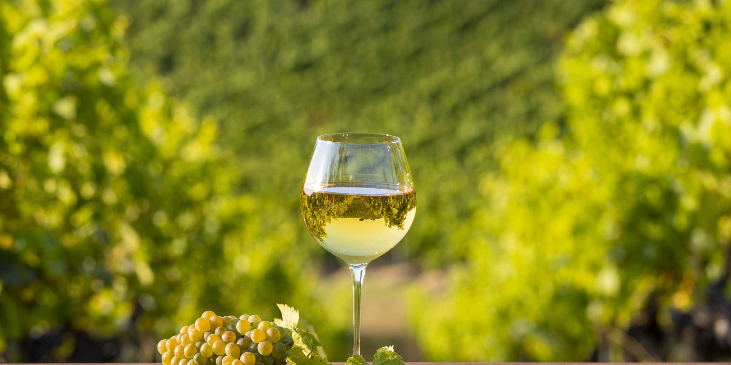 Corso di Vini bianchi Alsazia a Giussano – Il Tempo Ritrovato