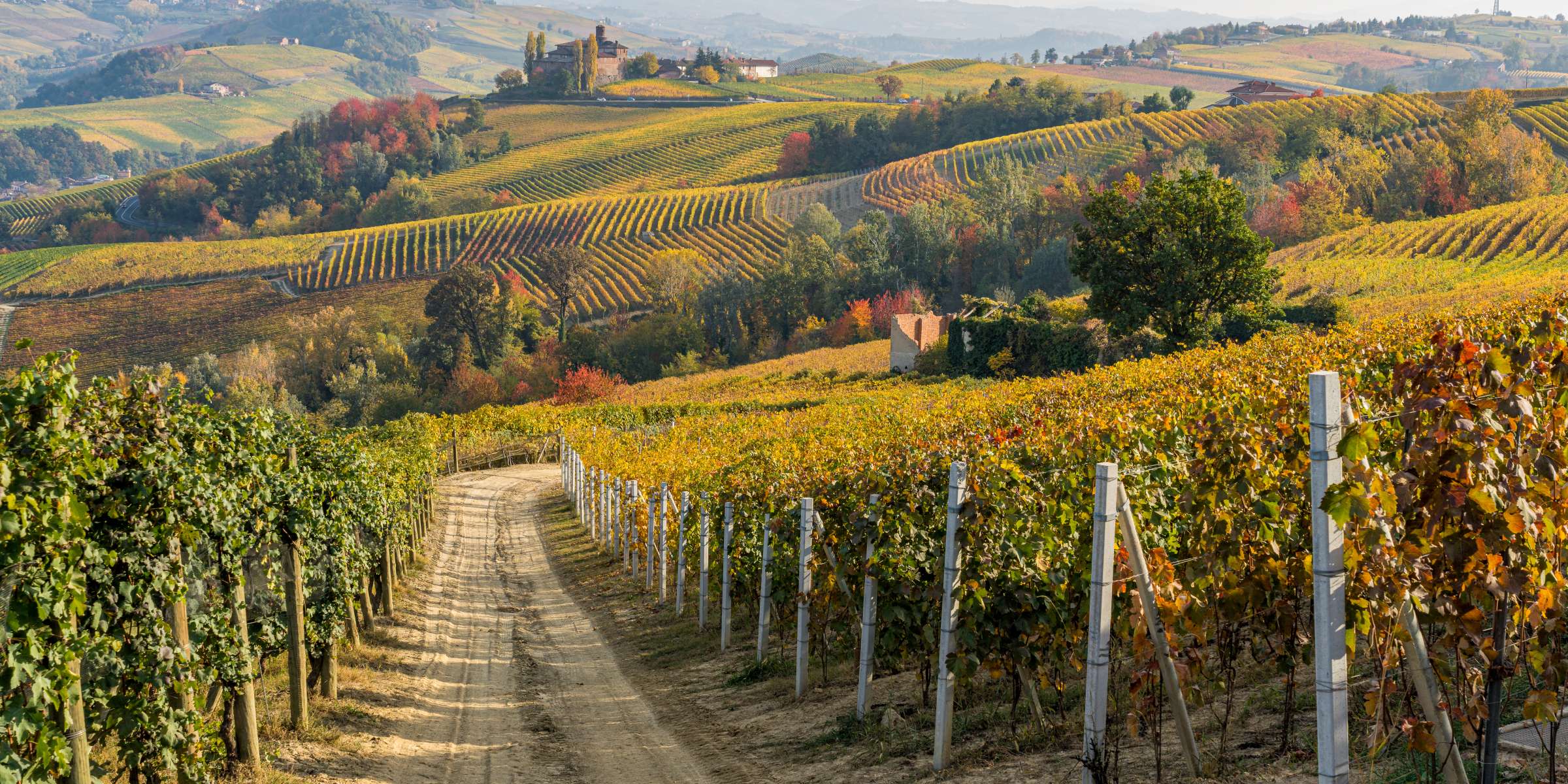 Corso di I vini bianchi del Piemonte a Giussano – Il Tempo Ritrovato