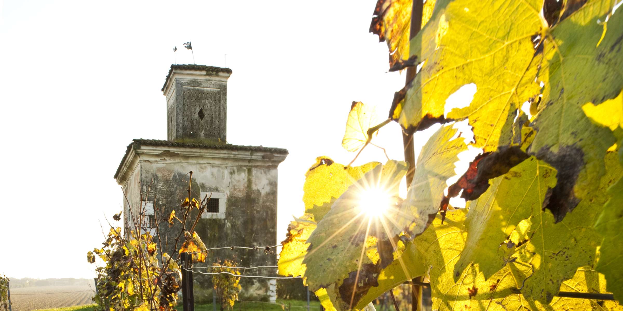 Corso di I vini Franciacorta a Brescia – Il Tempo Ritrovato
