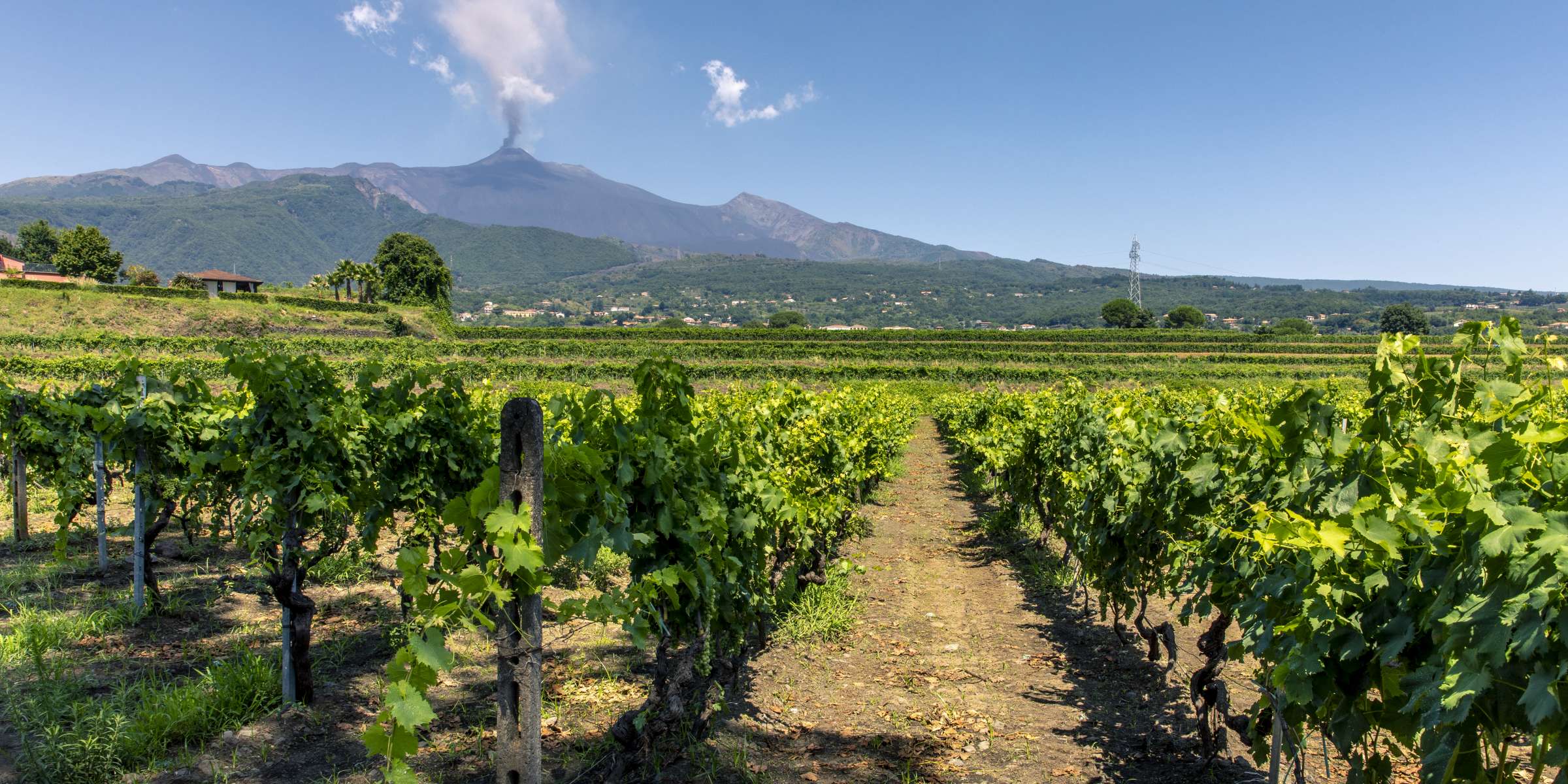 Corso di Vini dei vulcani a Gallarate – Il Tempo Ritrovato