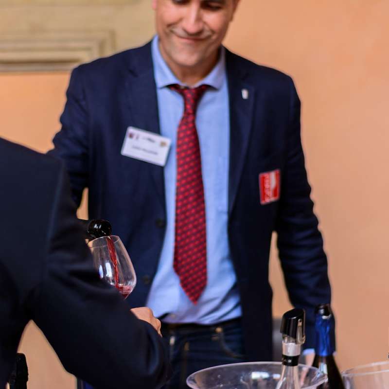 Lucio Pellacani
