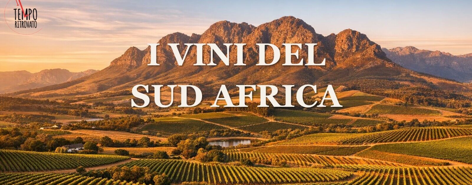 Corso di I vini del Sud Africa