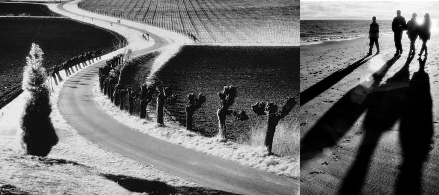 Corso di Visita guidata mostra fotografica di Elio Ciol a Milano