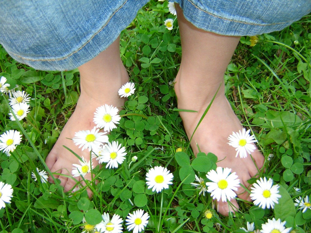 Corso di Foraging riconoscere e raccogliere erbe spontanee