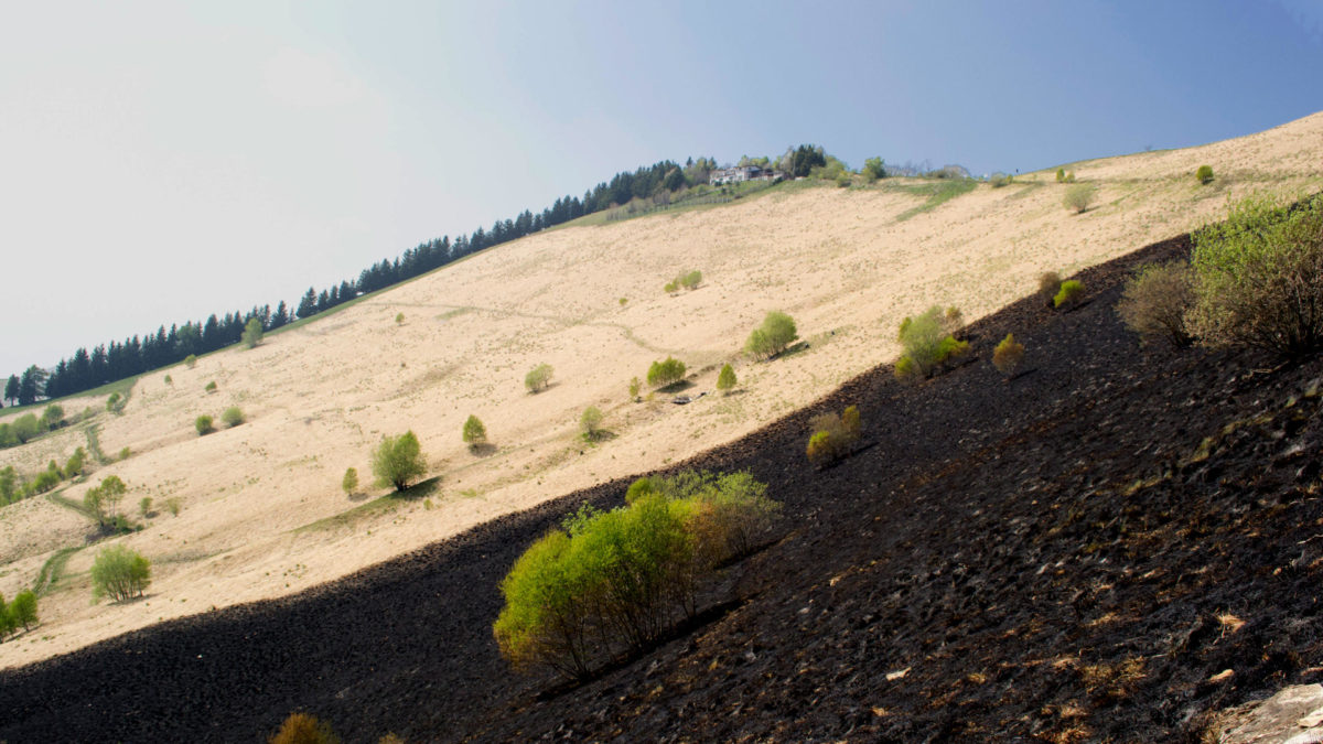 Corso di Escursioni emozionali a Como