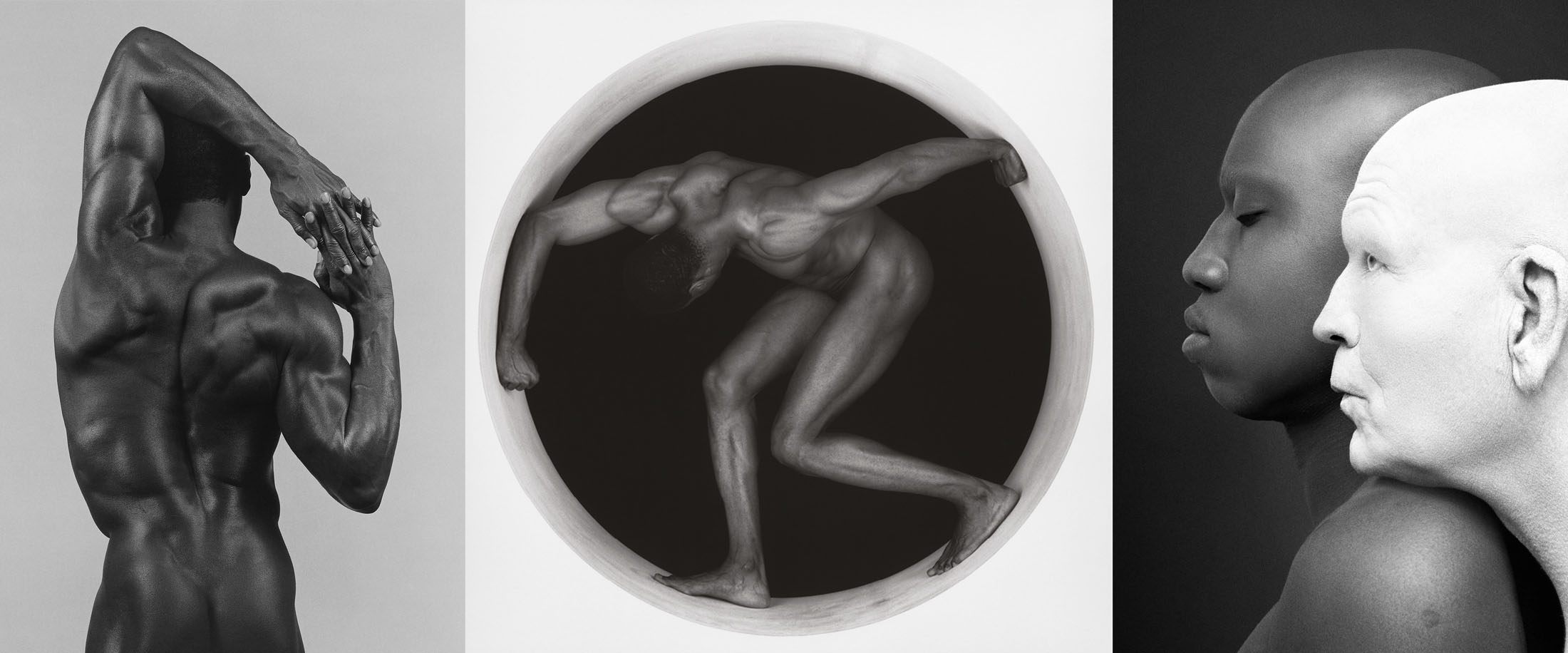 Corso di Visita guidata mostra fotografica Robert Mapplethorpe a Milano