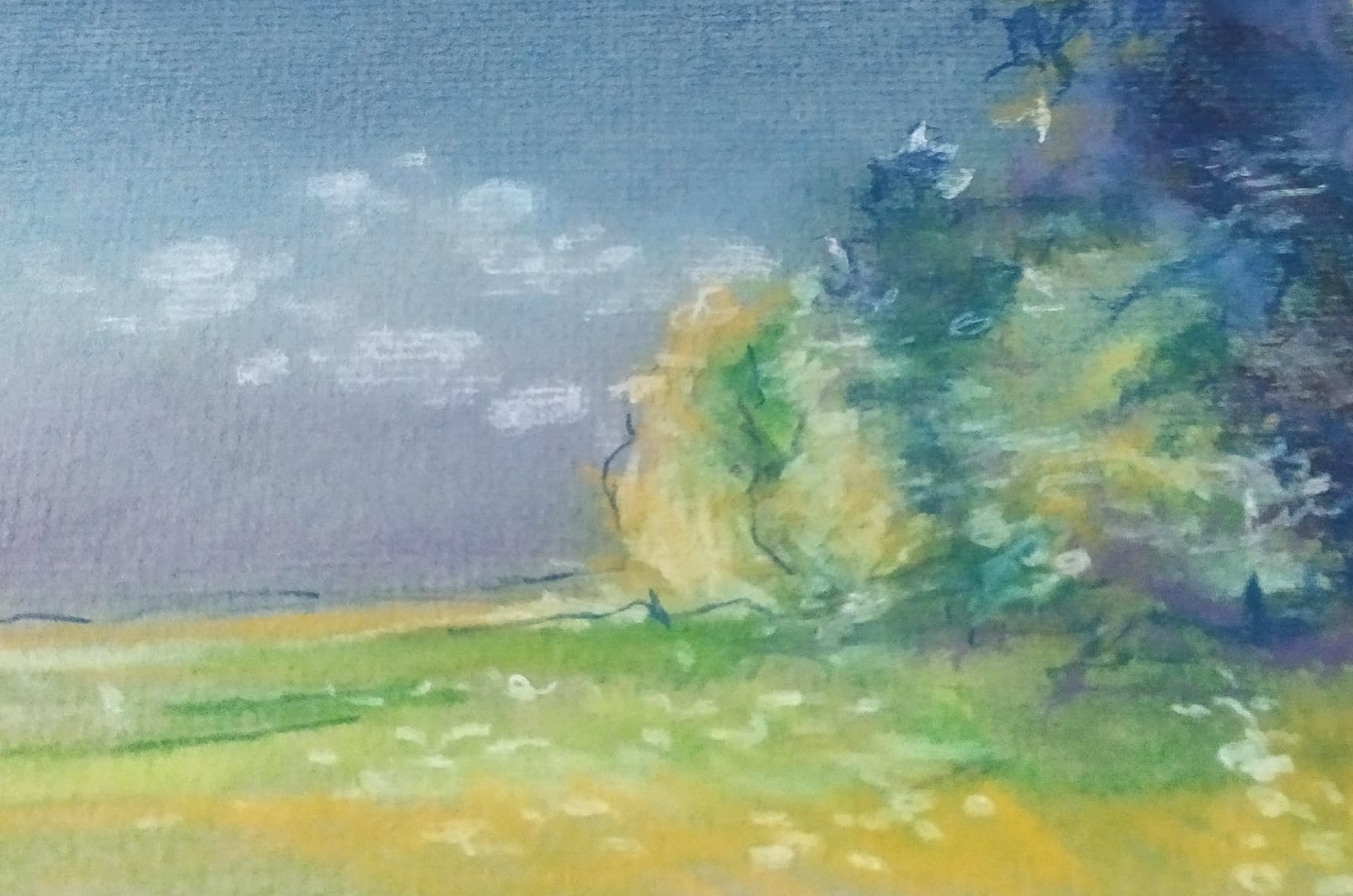 Corso online di Pastello morbido